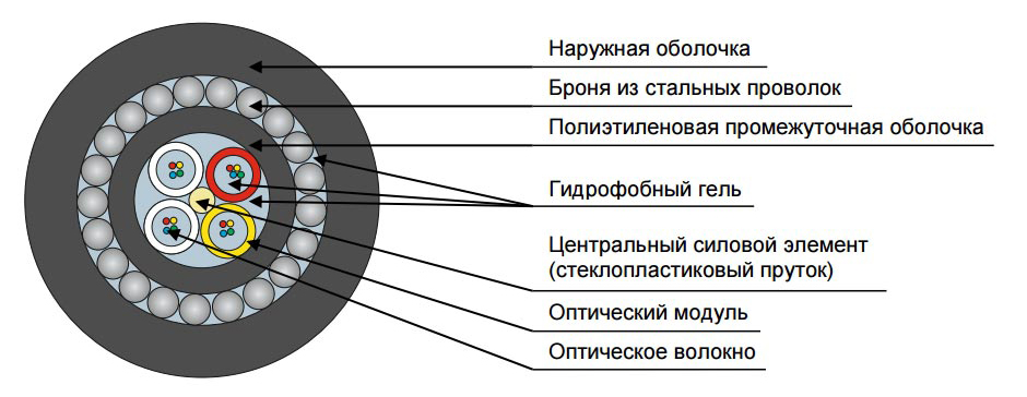 dps (1).jpg dps (1).jpg